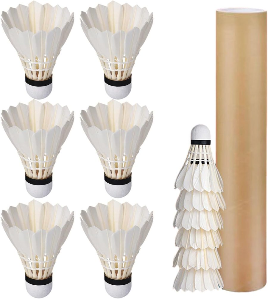 12 Pcs High Speed Training Badminton Professional Duck Badminton Shuttlecocks Sport Accessories