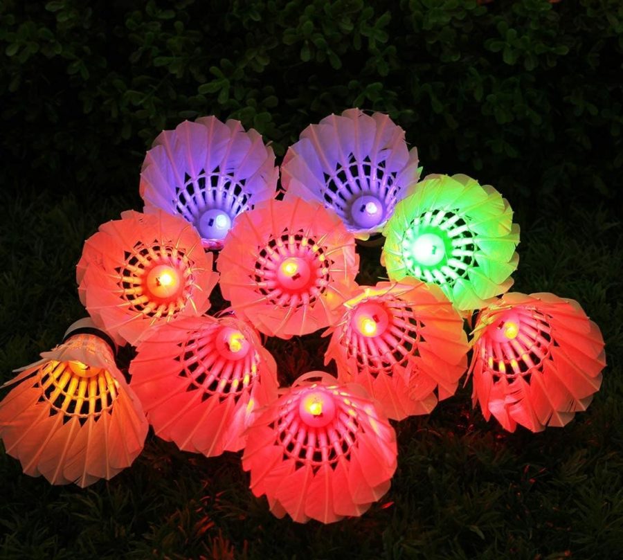 LED Badminton, [10 Pack] Colourful Shuttlecock Dark Night Goose Feather Glow s Lighting Outdoor Indoor Sport Activities(10PCS)